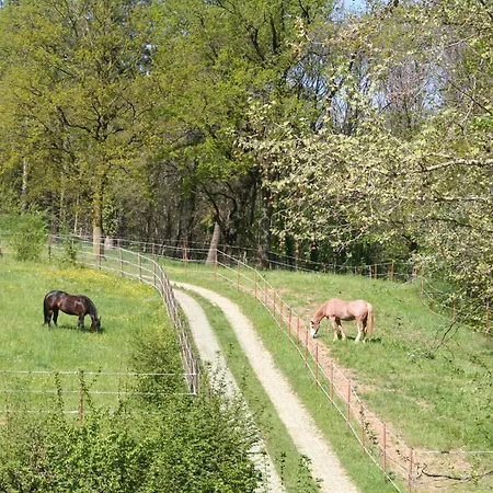La Casa Di Campagna Bergamo