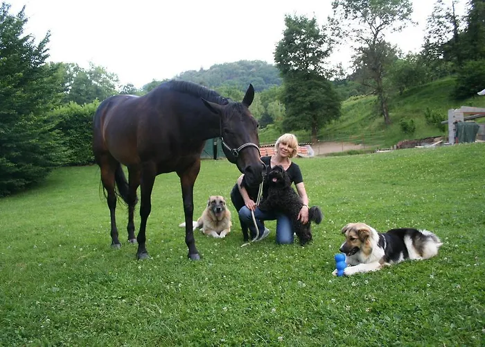 La Couette-café Bergame