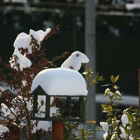 La Casa Di Campagna Bed & Breakfast