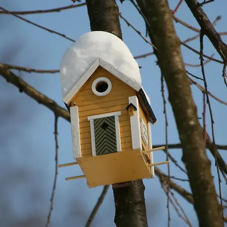 Bed & Breakfast La 3*