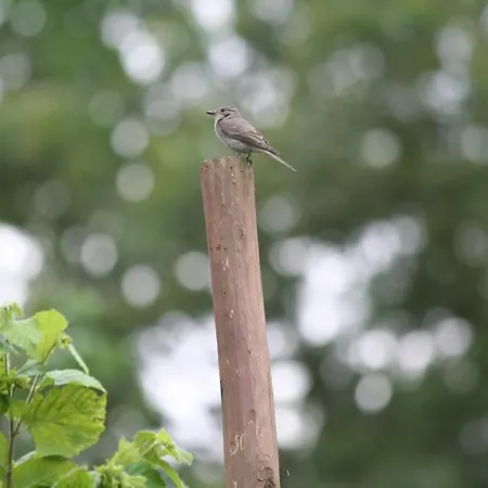 La Bed & Breakfast 3*