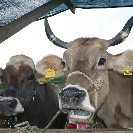 Alojamento de Acomodação e Pequeno-almoço La Bérgamo