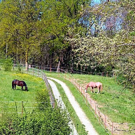 La Oda ve Kahvaltı