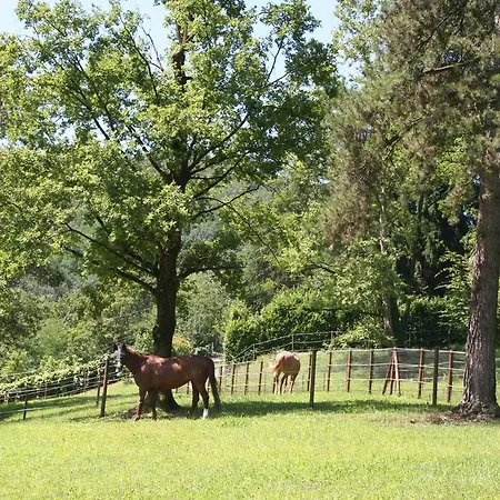Oda ve Kahvaltı La Bergamo