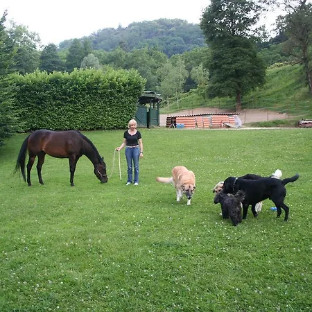 La Casa Di Campagna 3*