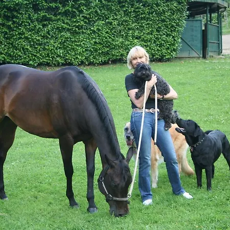 Alojamento de Acomodação e Pequeno-almoço La Bérgamo
