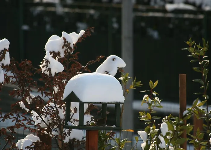 La Casa Di Campagna Bed & Breakfast