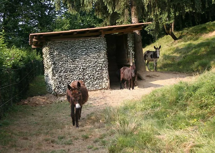 La Casa Di Campagna Bed & Breakfast