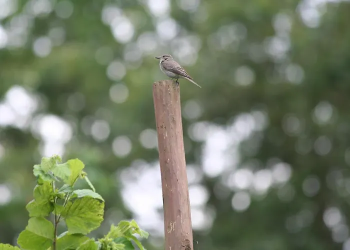 La Casa Di Campagna Bed & Breakfast 3*