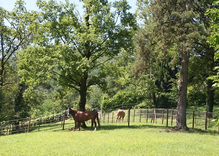 Bed & Breakfast La Casa Di Campagna Bergamo