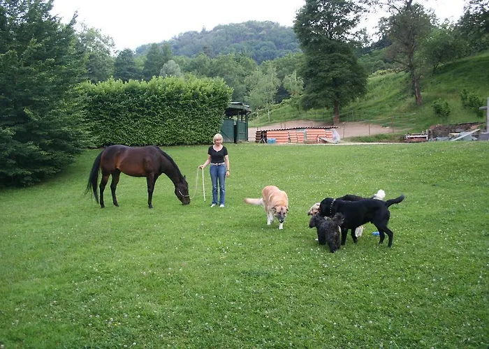 La Casa Di Campagna 3*