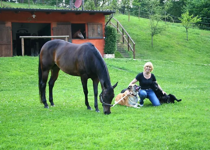 La Casa Di Campagna Bed & Breakfast
